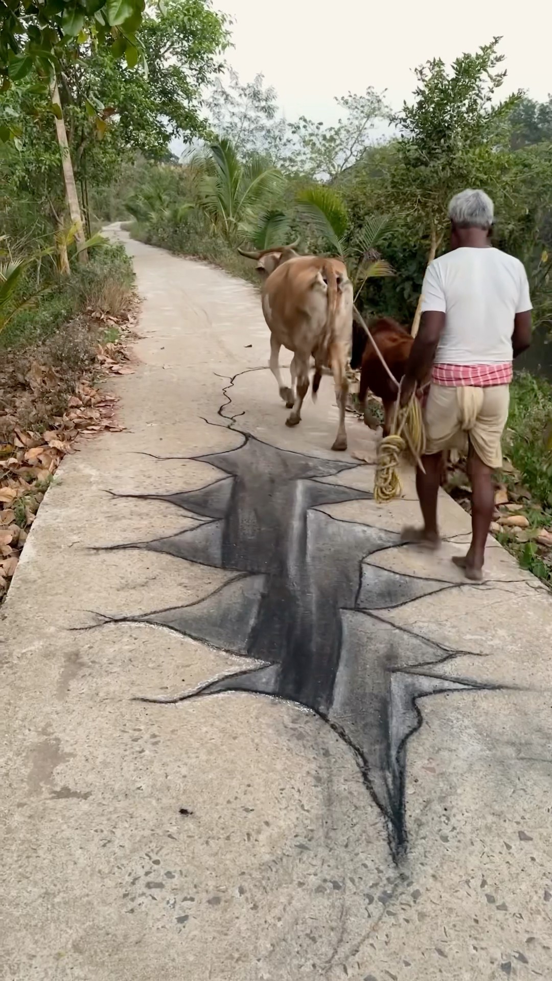Art that makes you stop and think! #illusion #shorts