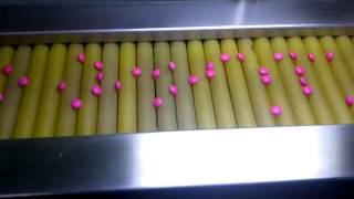 Roller Inspection Belt for Capsules / Tablets / Caplets.