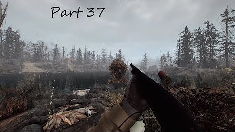 Immersive Fallout 4 Walkthrough Part 37 (300+mods) Far Harbor ultra modded