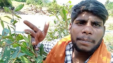 my first vlog || first vlog viral || first video on youtube //viral   #myfirstvlog #myfirstvlog2022