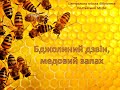 Бджолиний дзвін, медовий запах