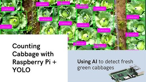 How to Run YOLO Object Detection Models on the Raspberry Pi