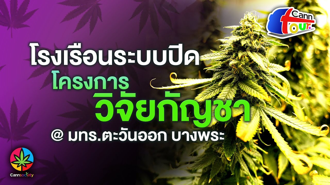 Cann Society 『CannTour EP.13』 - โรงปลูกกัญชาในระบบปิด (Indoors) โครงการวิจัยกัญชา มทร.ตะวันออกบางพระ