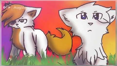 brightheart and cloudtail