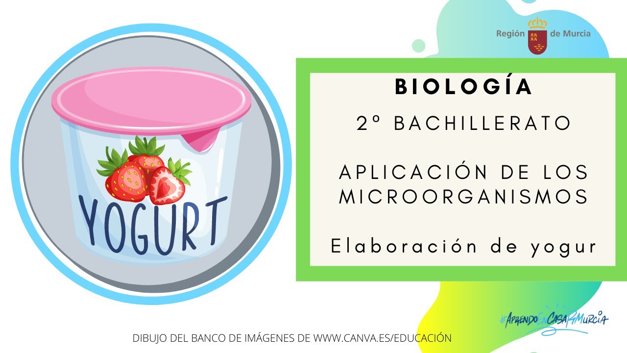 APLICACIÓN DE LOS MICROORGANISMOS: ELABORACIÓN DEL YOGUR - YouTube