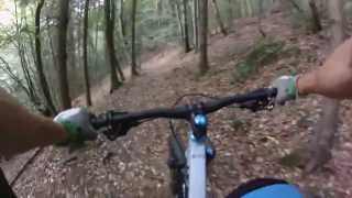 Freeride, MTB Trail ride with my lady, Linz Schmiedgraben, Canyon Torque Ex #1(, 2015-11-21T17:27:33.000Z)