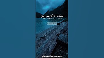 سورة الأنفال، الآية 36، القارئ ياسر الدوسري