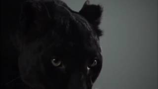 Vincenzo Salvia & PJ D'Atri - Follow The Power (Teaser) / NEW RETRO WAVE RECORDS