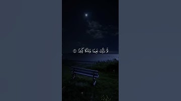 #قرآن #آية_الكرسي #سورة_البقرة #الطمأنينة #السكينة #الله #short #quran #islam #fyp #الراحة_النفسية