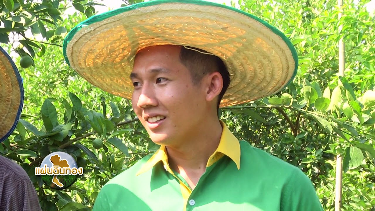 แผ่นดินทอง ตอน มะนาวหน้าแล้ง ตอนที่ 2 บ้านแพ้ว จังหวัดสมุทรสาคร