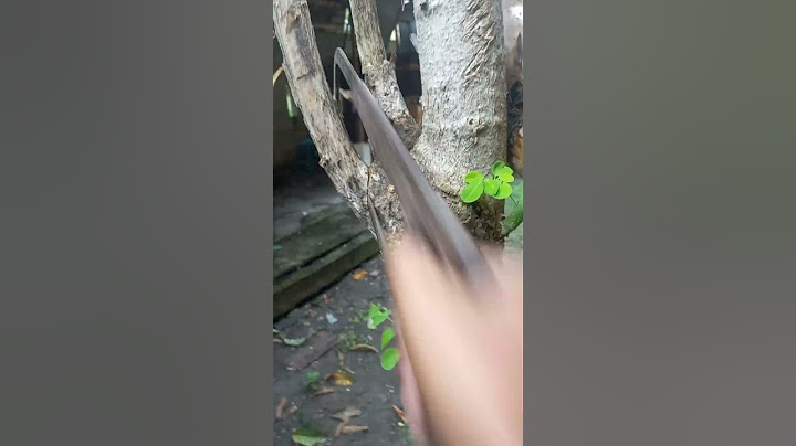 Simple saw for cutting trees:the right tips and trickst