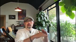 闲聊顺便颂圣:圣上失去了自己的权力么?官场为什么同性恋比例极低?5月14日的所谓“政治局扩大会议”是怎么回事?|习近平|政治局常委|胡锦涛|阿兹海默症|