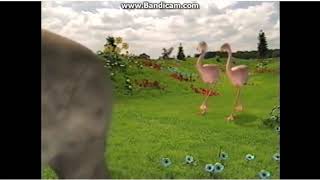2 Flamingos In Teletubbies