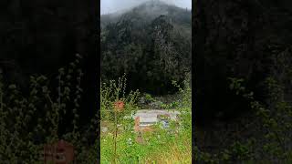 uzat elini bayramlaşalım...