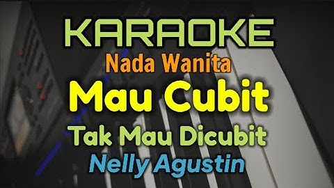 CUBIT TAK MAU DI CUBIT / KARAOKE DANGDUT NADA WANITA