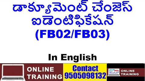 SAP FICO Batch - 4||How to Identify Changes in Document||FB03/FB03|| In English