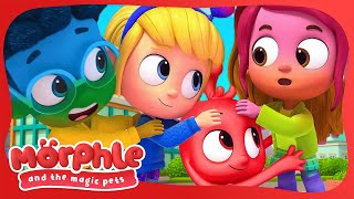 Rainbow Chasers | Morphle and the Magic Pets | Available on Disney+ and Disney Jr #morphle by Morphle’s Magic Universe - Kids Cartoon 29,121 views 11 days ago 7 minutes, 7 seconds