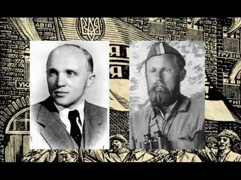 Розбір книги Тараса Бульби Боровця - Армія без держави
