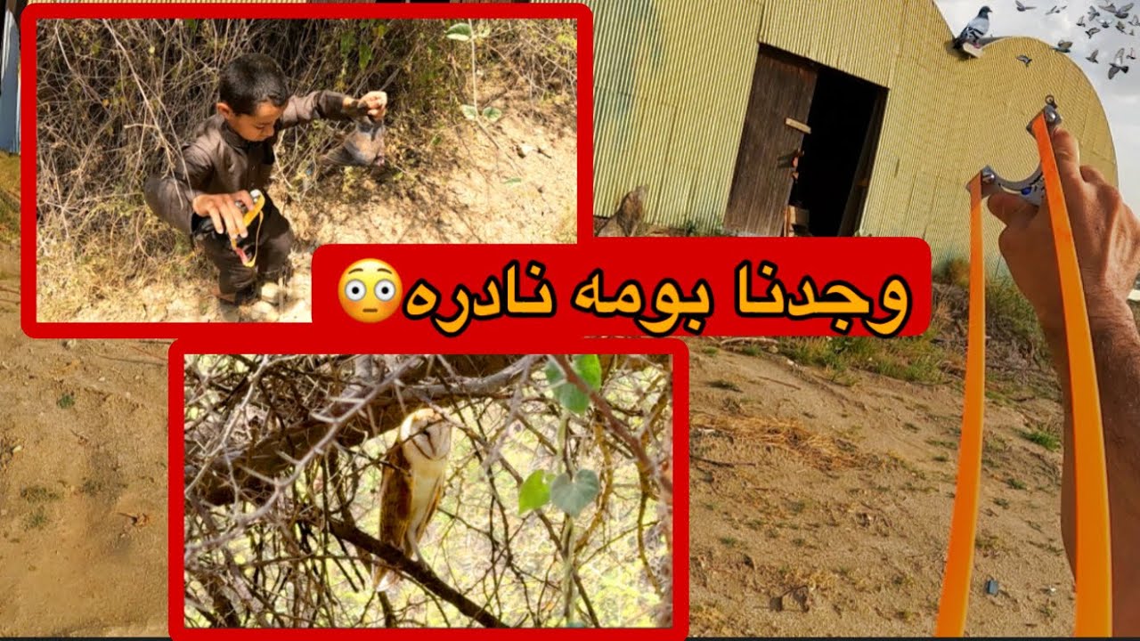 مع الصياد الصغير🧒🏻 العيش في البريه الجزء 61 