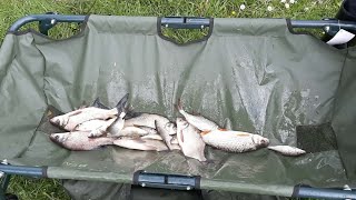 Peche au method feeder et au coup