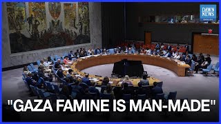 UNSC Members, Except US, Blames 'Man-Made' Gaza Famine | Israel | Middle East