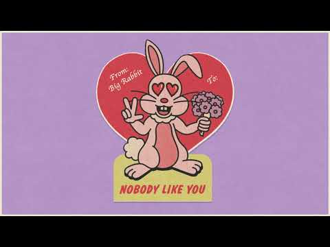 Nobody Like You