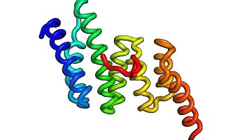Molecular dynamics trajectory movie