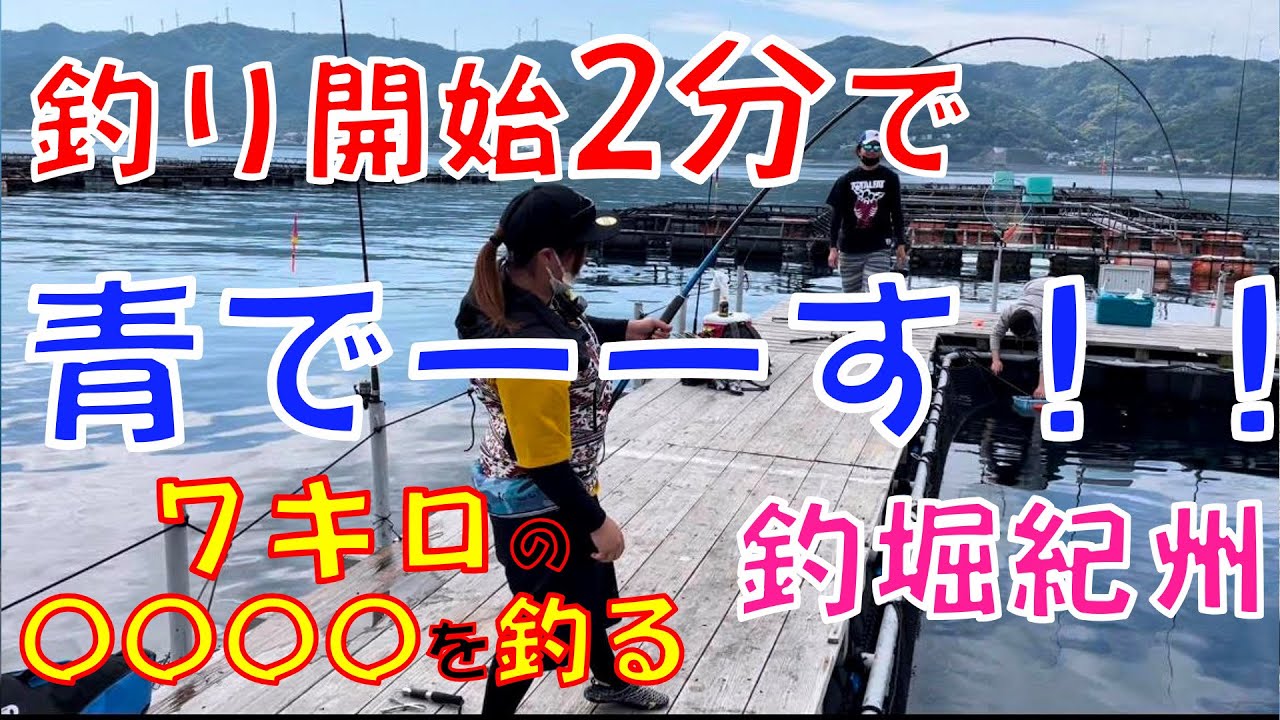 【海上釣堀】釣堀紀州　釣り開始2分で『青でーす！！』7キロのヒラマサを釣る。