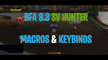 Basics Macros & Keybinding For All Hunters in WOW