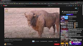 Stream Bez Słowa Na K