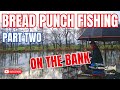 Bread punch fishing  how to use bread punch and liquidised bread for fishing