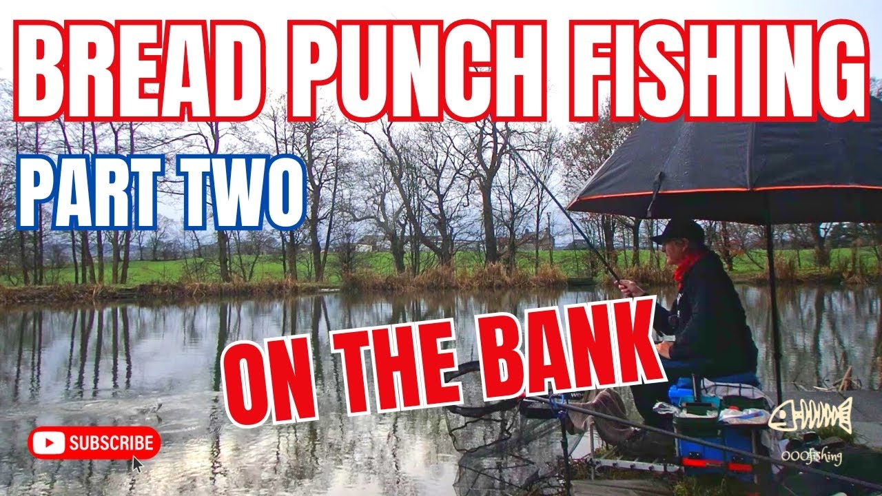BREAD PUNCH Fishing - Part TWO - On the Bank 