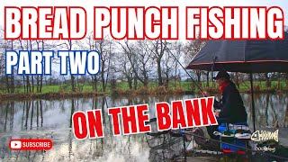 BRILLIANT BREAD PUNCH | How to use bread punch and liquidised bread for fishing