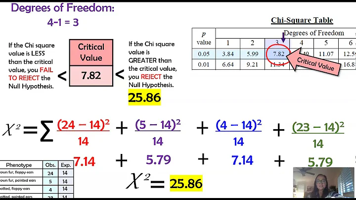 Chi Square in Genetics & Examples (AP Biology)