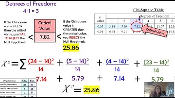 Chi Square in Genetics & Examples (AP Biology)