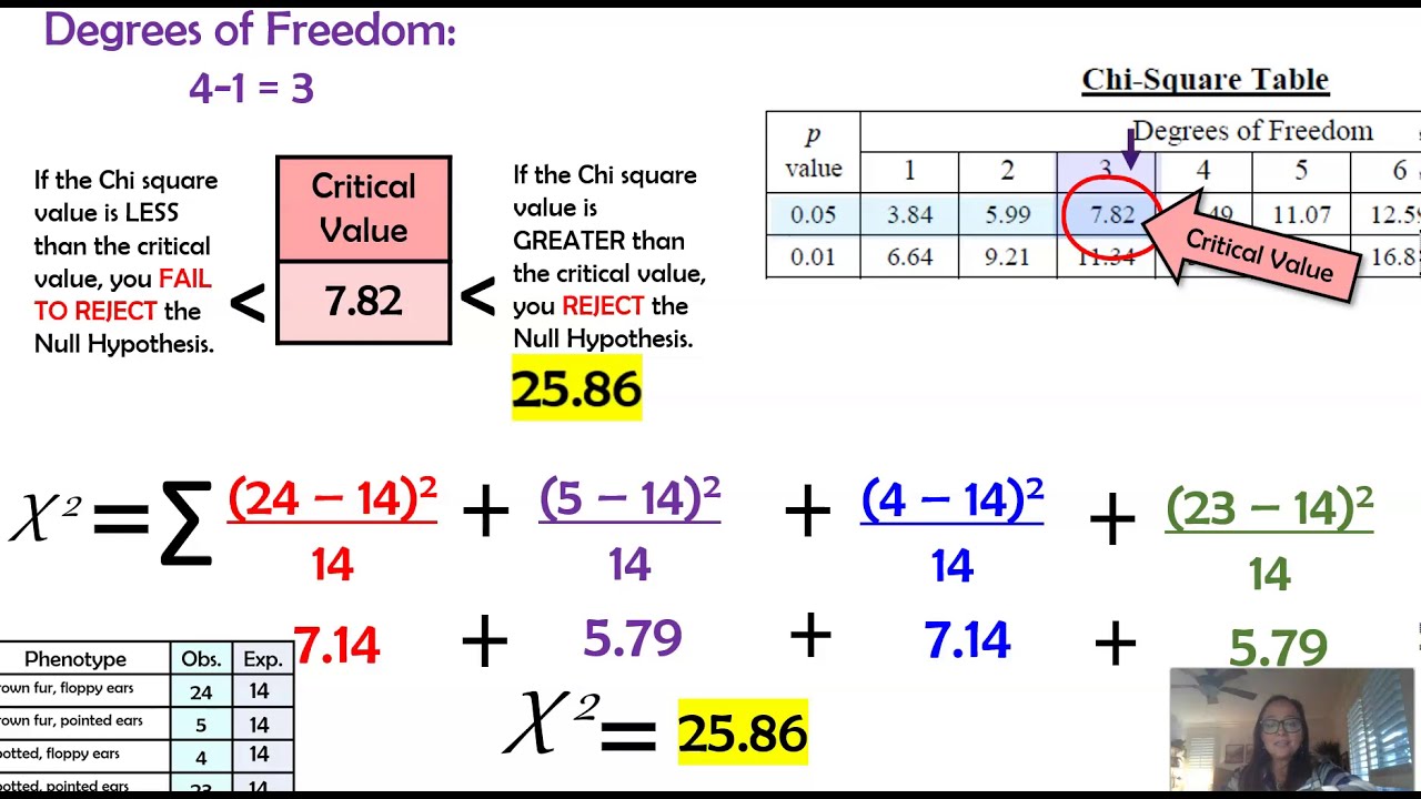 how to make hypothesis in chi square