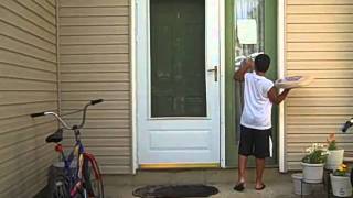 The Truth Behind Dominos Feat. Dieindark456, Apeman642, And Therollercoasterfool Remake