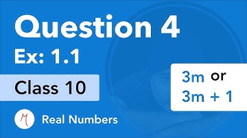 Question 4  Exercise 1.1 | Class 10 | Chapter 1 | Real Numbers | NCERT Maths | CBSE (Old Book)