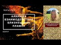 Алхимия Взаимодействия Близнецовых Пламен - Вебинар