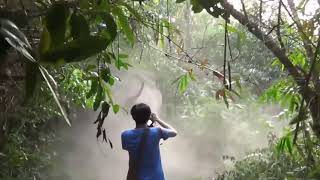 Man Halts Charging Elephant in Thailand