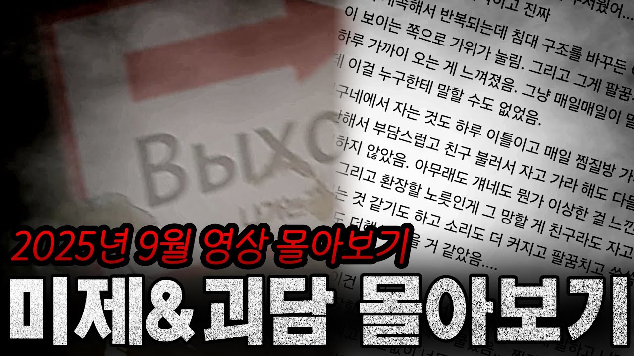 일본 미제 사건부터 괴담까지 한번에 정주행하기 I 9월 몰아보기