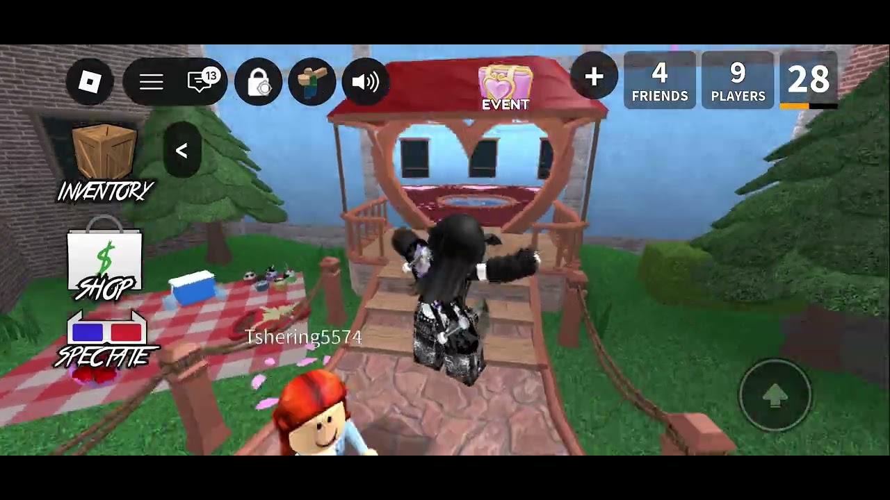 Playing mm2 with a fan