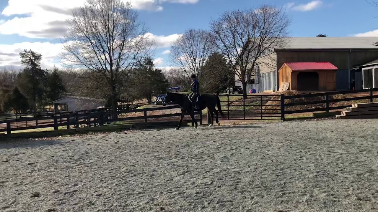 Pete Spring Video - YouTube