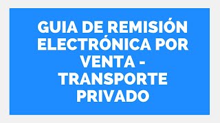 👍 ELECTRONIC REMISSION GUIDE FOR PRIVATE TRANSPORTATION SALE 👉 Accounting Firm in Lima screenshot 4