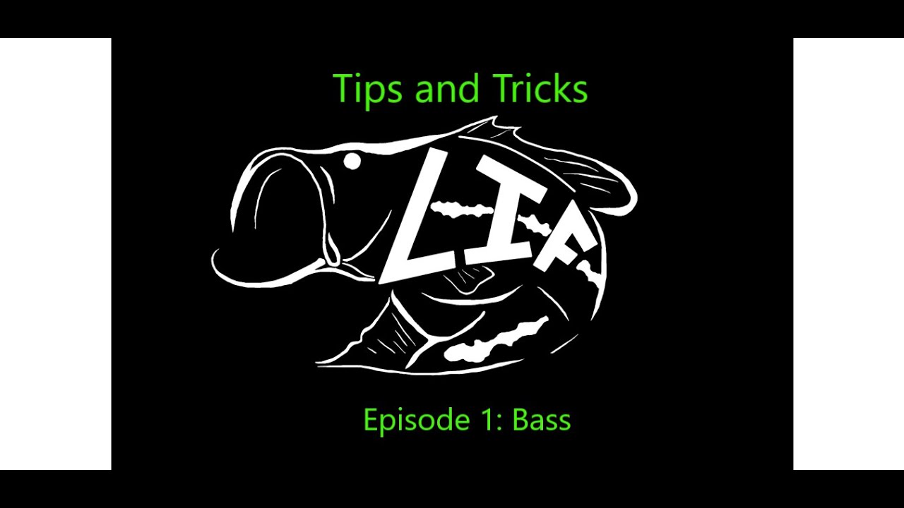 Tips and Tricks to help YOU Catch MORE Bass! YouTube