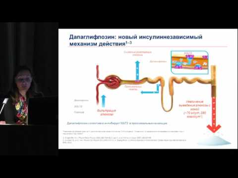Секционное заседание 10. Новикова М.С., «Нефропротективные особенности ингибиторов НГЛТ-2»