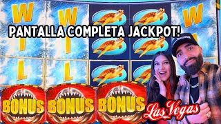 🦈 PANTALLA COMPLETA EN SHARK WEEK SLOT MACHINE JUGANDO EN LAS VEGAS !