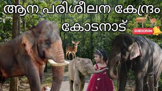 കോടനാട് കേരളത്തിലെ ഒരു ആനപരിശീലന കേന്ദ്രം Ikodanad Elephant Training Centre Abhayaranyam Kaprikkadu