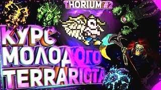 Курс Молодого Terrariста | Thorium Edition | Лучший Гайд По Террарии | Часть 2