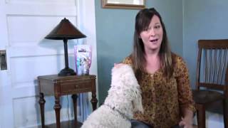 How To Stop Pawing Behavior